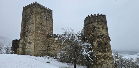 Ананури