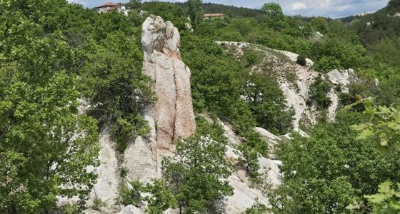 Каменна сватба — снимка 1