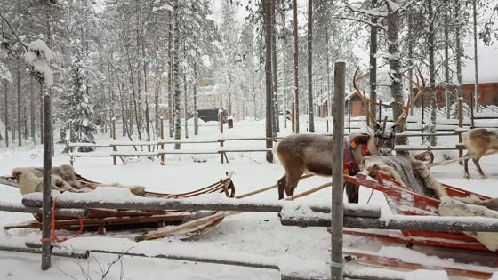 Весела Коледа, пътешественици! — снимка 2